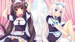 ネコぱらOVA — foto 1