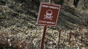 Nothing to be Afraid of — foto 7
