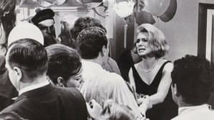 The Yellow Canary — foto 1