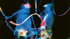 Dandy Dust — foto 1