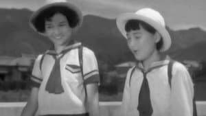 まごころ — foto 6