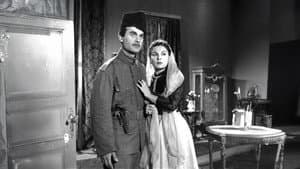 Bulgar Sadık — foto 2