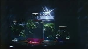 拷問水責め — foto 11