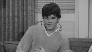 Monkees Screen Tests — foto 4