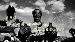 地雷战 — foto 1