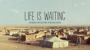 Life is waiting: referendum and resistance in Western Sahara — foto 2