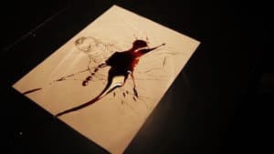 فليم - برميل — foto 8