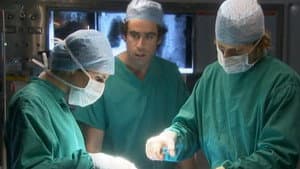 Green Wing Special — foto 2