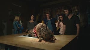 Castores zombies — foto 4