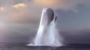 Moby Dick — foto 12