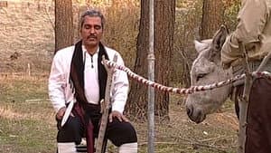 Episodio 45
