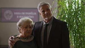 Episodio 184