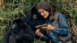 Dian Fossey: Secrets in the Mist — foto 9