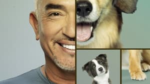 Cesar Millan: Better Human, Better Dog — foto 4