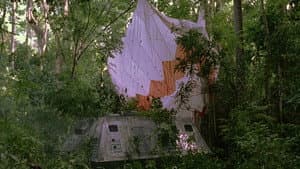 The Survivor — foto 2