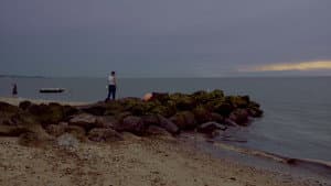 Long Island Gus — foto 1