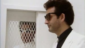 Episodio 8