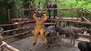 Episodio 7