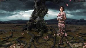 Telaraña de sueños — foto 1