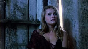 Ticks — foto 5