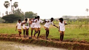 வாழை — foto 10
