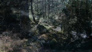Lumpaz — foto 1
