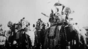 Procession of Elephants with Howdahs - India — foto 1