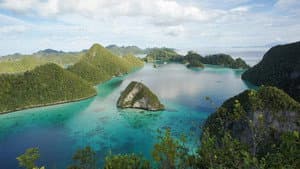 Coral Triangle — foto 4