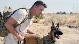 Dog: Un viaje salvaje — foto 3