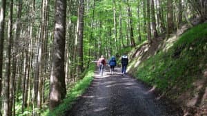 Gehen: Wundermittel fur Korper und Seele — foto 1