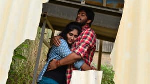 కేటుగాడు — foto 8