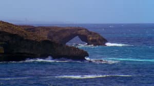 Psychic Migrations — foto 8
