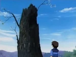 Episodio 11