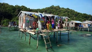 Coral Triangle — foto 2