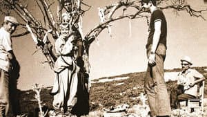 Gökçe Çiçek — foto 2