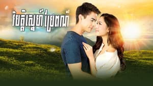 វិប្បត្តិស្នេហ៌ប្រែពណ៌ — foto 1