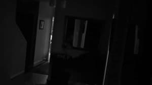 Follow the Light — foto 1