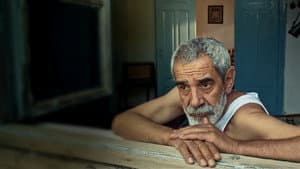 Vicdan Ağacı — foto 1