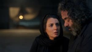 خوک — foto 10