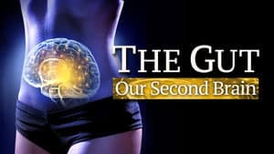 The Gut: Our Second Brain — foto 1