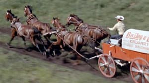 Chuckwagon — foto 1