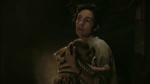 Noite Perpétua — foto 1