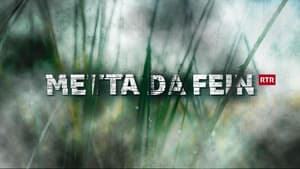 Metta da fein — foto 3