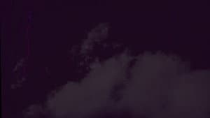 Carter — foto 1