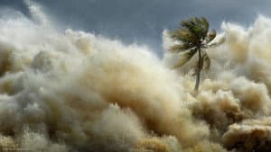 Tsunamis: Carrera contra el tiempo — foto 7