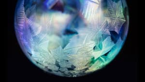 Forces of Nature with Brian Cox — foto 1
