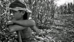 Minsan Lang Sila Bata — foto 1