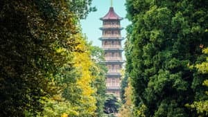 Kew Gardens: A Year in Bloom — foto 1