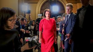 Pelosi en la Cámara — foto 1