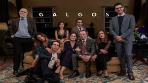 Galgos — foto 4
